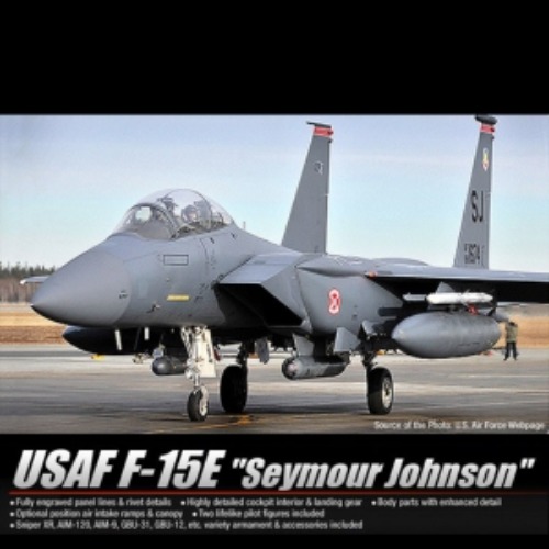 12295 1/48 미공군 F-15E 시모어 존슨 (8809258921738)