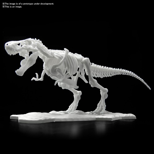 [반다이] 공룡 모델 킷 LIMEX 스켈레톤 티라노사우루스 (4573102616593)